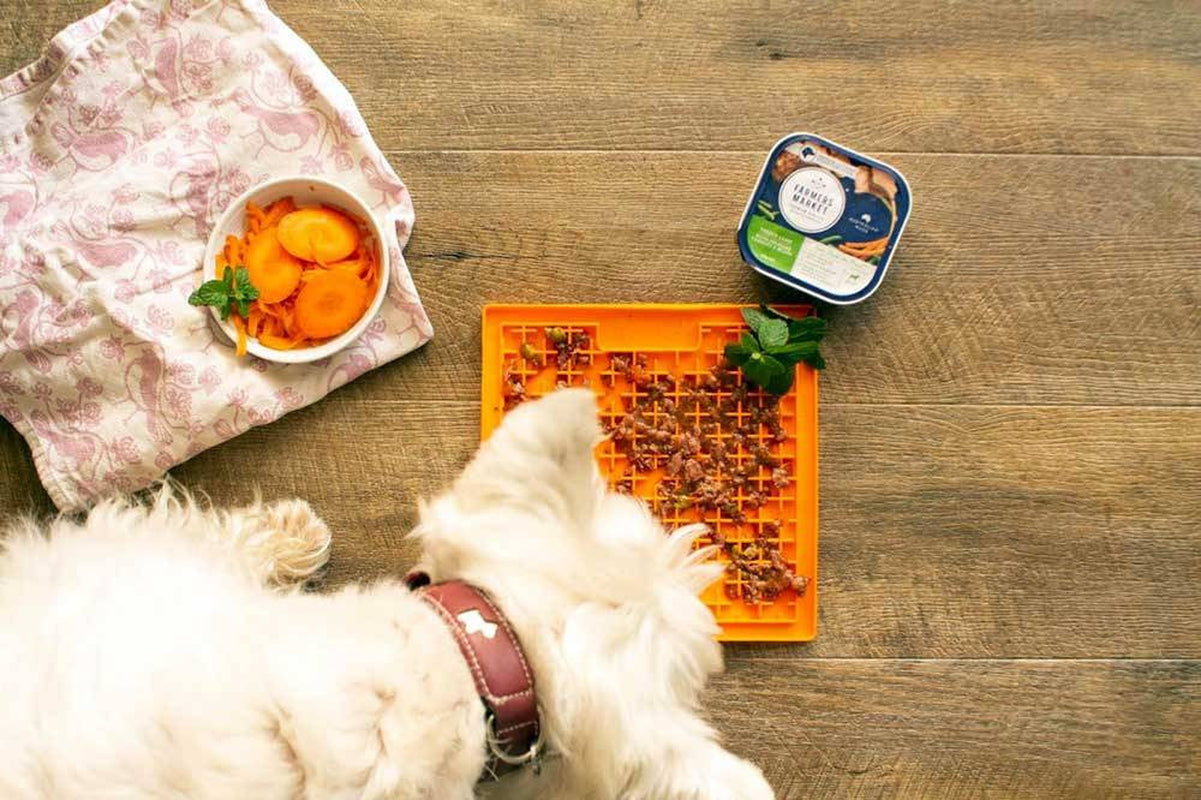 Lickimat Buddy Large Treat Mat for Dogs & Cats
